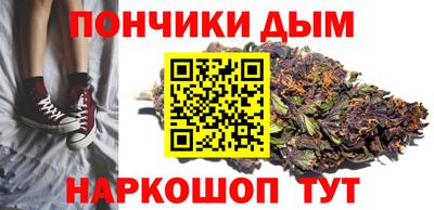 apvp Кингисепп
