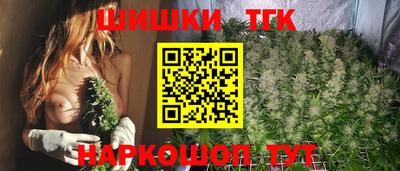 apvp Кингисепп