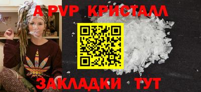 apvp Кингисепп